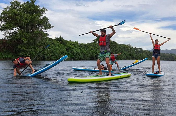 1.5 - 2 hour morning SUP boarding class for all ages and levels - Price and value: what $18.96 really covers