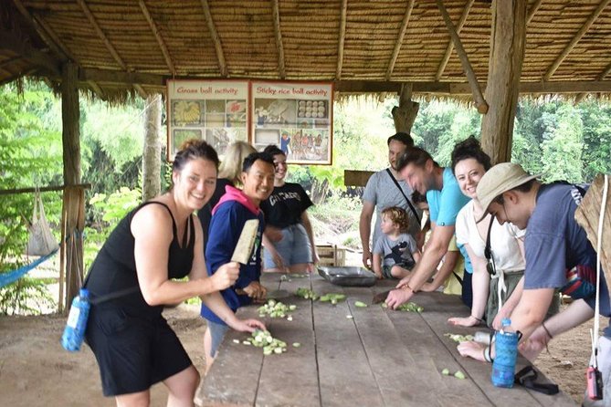 2 day 1 night Elephant World Kanchanaburi from Bangkok - The bathing and close-contact question: what to weigh before you go