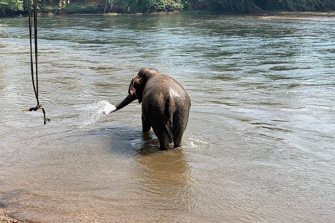 2 day 1 night Elephant World Kanchanaburi from Bangkok - Hiking for views: mountain top time and a separate 100 Baht cost