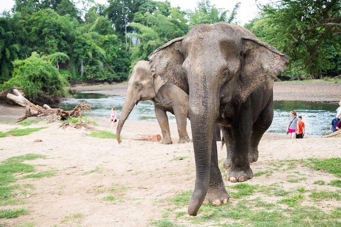 2 day 1 night Elephant World Kanchanaburi from Bangkok - Getting to Kanchanaburi: early pickup and an air-conditioned ride