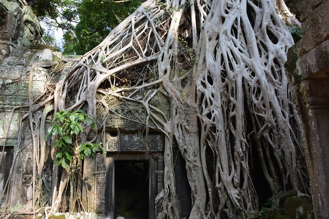 2-Day Angkor Wat Tour from Bangkok - Logistics and packing notes that will keep you comfortable