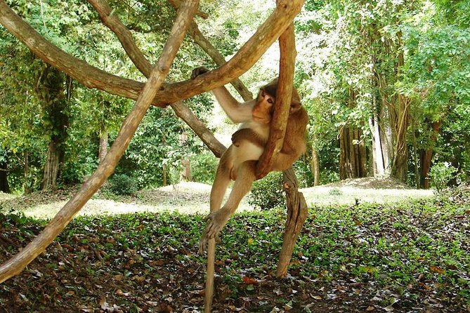 2-Day Angkor Wat Tour from Bangkok - Who this Angkor Wat tour is best for (and who should skip it)