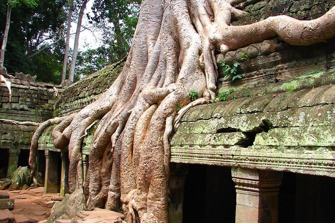 4 Days Expedition From Bangkok to Angkor Wat - Crossing Poipet and getting to Siem Reap without the paperwork spiral