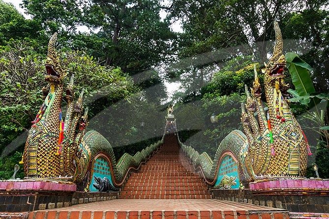 6-Day Northern Thailand Tour: Ayutthaya, Sukhothai, Chiang Mai and Chiang Rai from Bangkok - Day 3: Hill tribes at Doi Mae Salong, Mae Sai border life, and the Golden Triangle