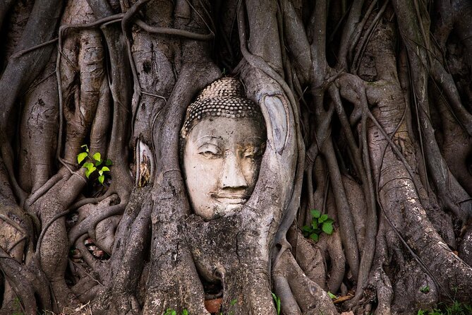 Ayutthaya Bicycle Hike & ATV to Top Attractions & Floating Market - Key things that make this tour worth your time