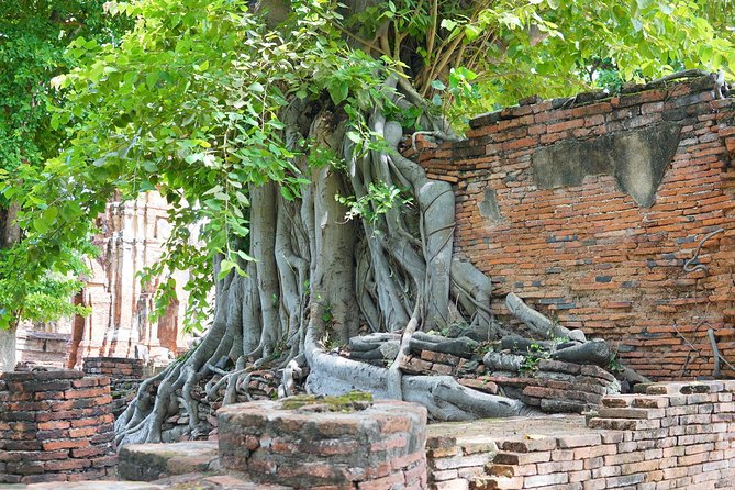 Ayutthaya Evening Tour with Dinner - Elephant Kraal Pavilion (Phaniat): a different kind of Ayutthaya stop