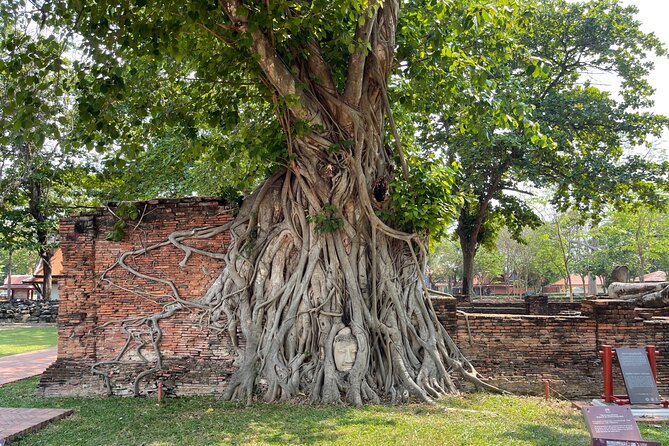 Ayutthaya Historical Old Capital day Tour from Bangkok - Royal-Era Temples: Wat Yai Chai Mongkol and Wat Phra Sri Sanphet