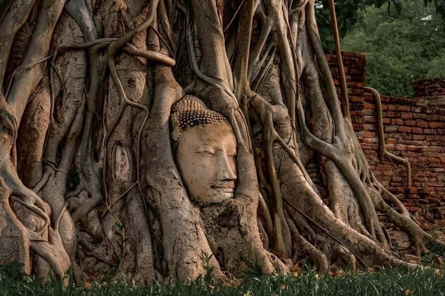 Ayutthaya Private Guided Day Tour, 4 Ancient Temples - Wat Chaiwatthanaram: Riverside Khmer-Style Prang in Daylight