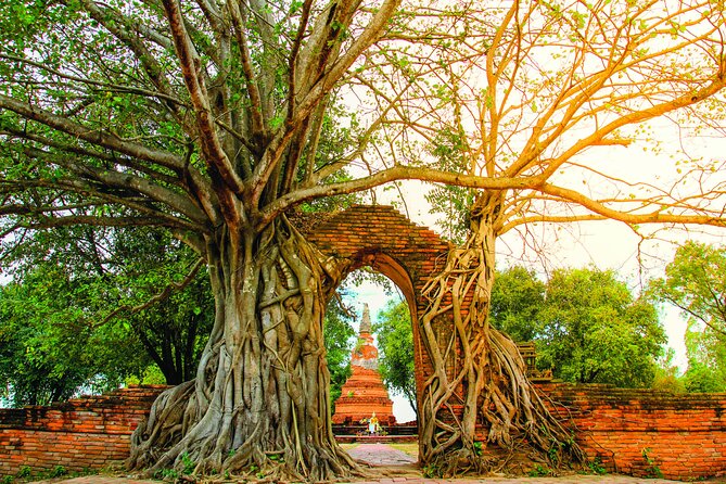 Ayutthaya Sunset Boat & UNESCO Temples: Multi-language private tour from Bangkok - Wat Chaiwatthanaram and the dinner-to-boat handoff