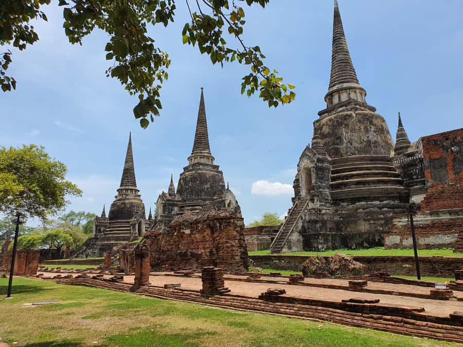 Ayutthaya UNESCO , World Heritage private tour - Chao Sam Phraya National Museum: the 90-minute reality check