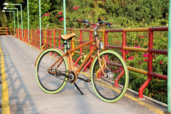 Bamboo Bicycle Tour in twilight: watch dancing Fireflies in Bangkok - The One-Hour Firefly Cruise: How to Read the Night