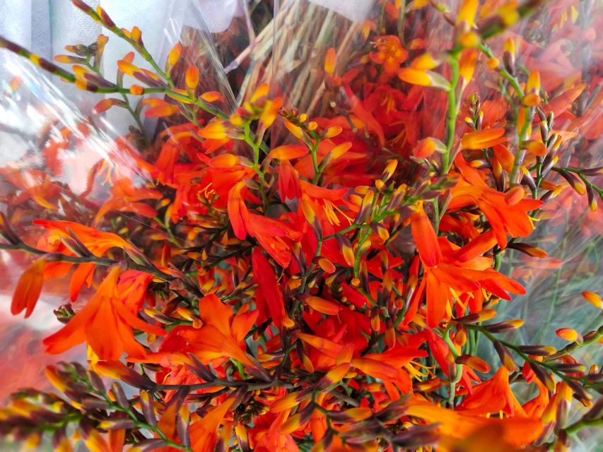 Bangkok:4Hour Flower Market and Little India Tour Mini Group - Who this tour is best for (and who should skip it)