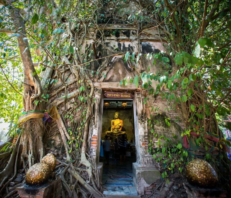 Bangkok: Amphawa Floating & Railway Markets Guided Day Tour - Maeklong Railway Market: the thrilling track-walk moment