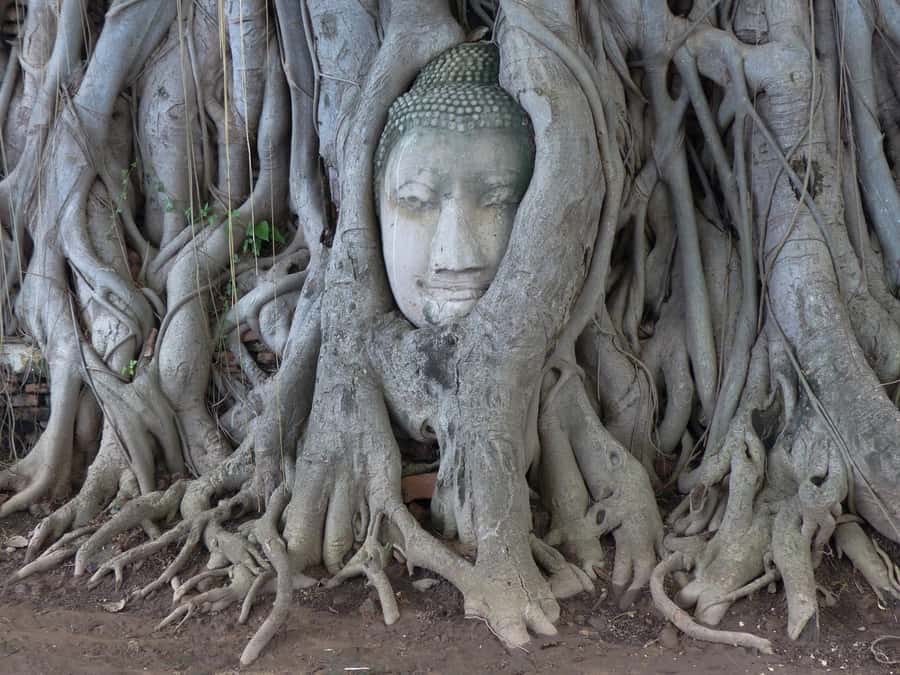 Bangkok: Ayutthaya & Local Market Tour In Spanish or English - Price and Logistics for a 7-Hour Ayutthaya Day Trip