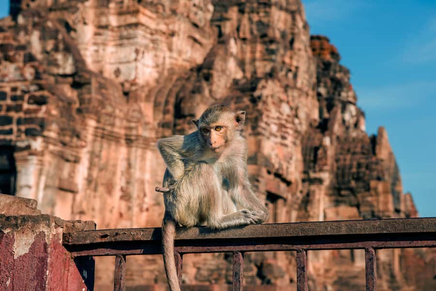 Bangkok: Ayutthaya & Lopburi Monkey Temple Private Day Trip - Why This Bangkok Day Trip Hits Ayutthaya and Lopburi in One Go