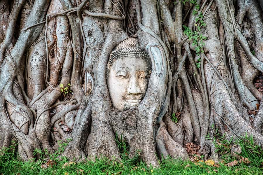 Bangkok: Ayutthaya & Lopburi Monkey Temple Private Day Trip - Phra Prang Sam Yod Monkey Temple: How to Stay Safe and Actually Enjoy It