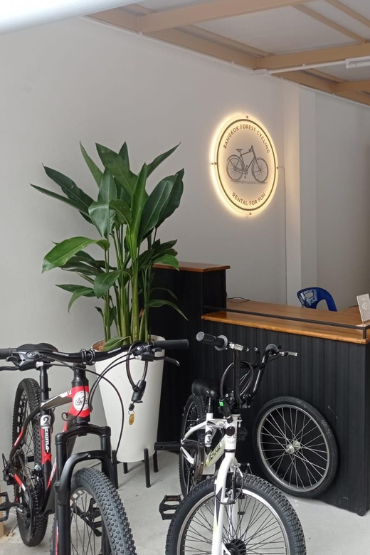 Bangkok Bicycle rental Benjakitti Park - A Bike Rental That Turns Benjakitti Park Into a Real Plan