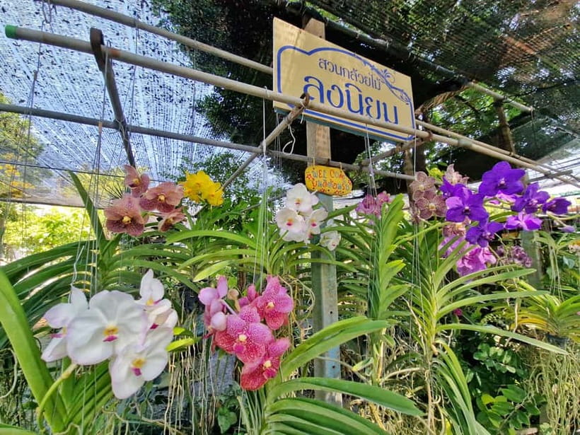 Bangkok Canals Hop-On Hop-Off Boat Tour - Getting to the Pier: BTS Wutthakat and Wat Mai Yai Nui