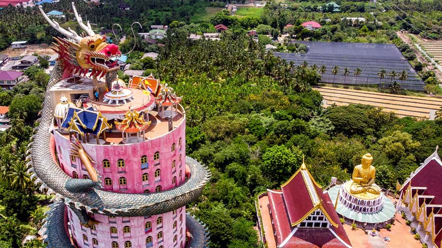 Bangkok: Dragon Temple, Roots Temple and Amphawa in spanish - Key things to know before you go