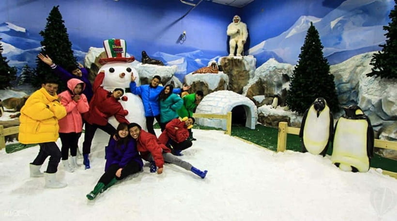 Bangkok: Dream World Unlimited Ride Ticket with Lunch - Price and Value of the Unlimited Ride Ticket (Including Snow Town and Lunch)