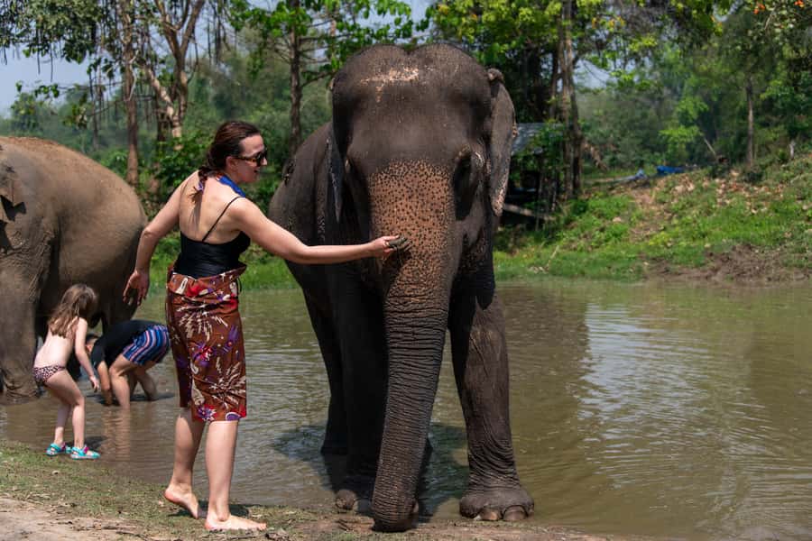 Bangkok: Elephant Sanctuary & Erawan Waterfall Tour - Key things that make this tour worth a spot