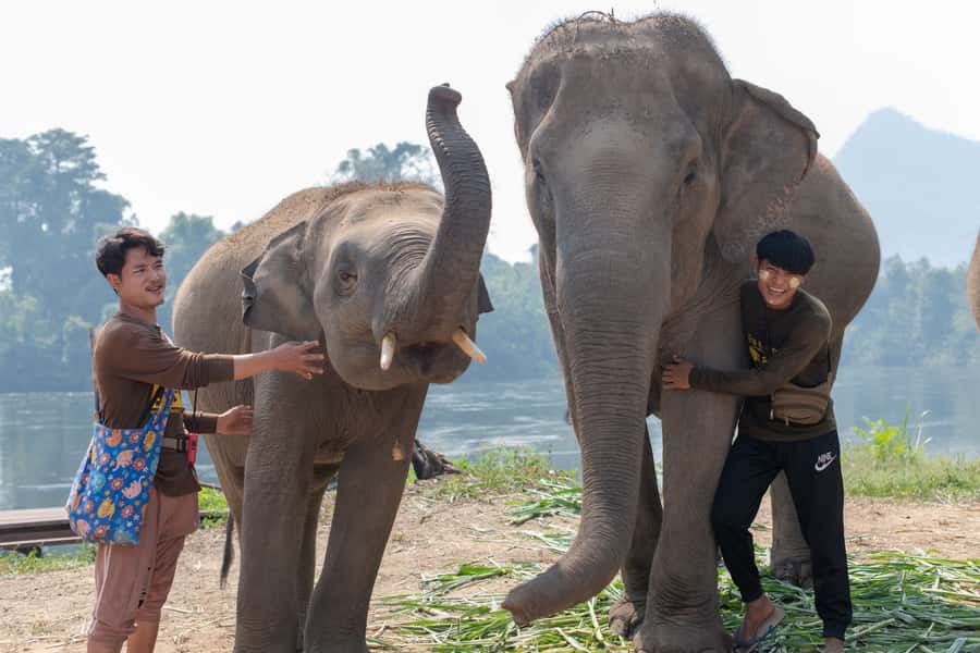 Bangkok: Elephant Sanctuary & Erawan Waterfall Tour - Your driver and transport from Bangkok: comfort for a long day