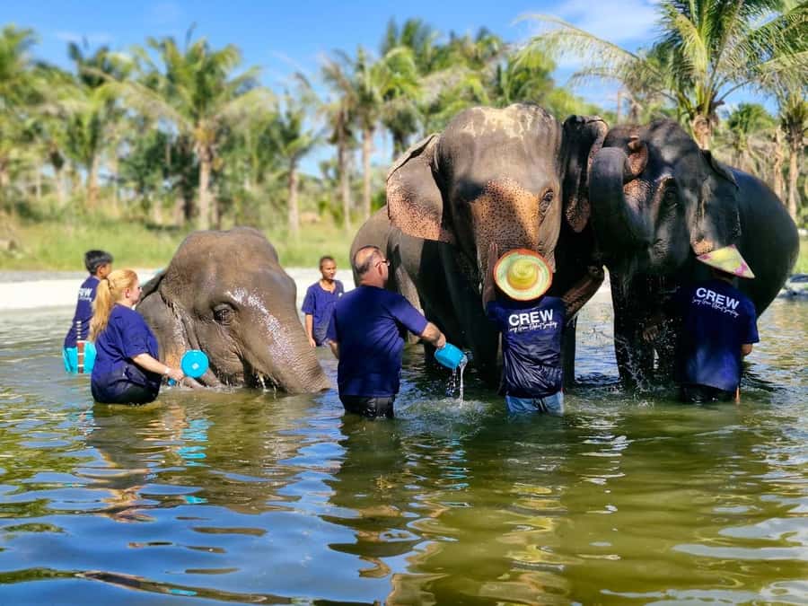 Bangkok: Elephant Sanctuary &Khao Kheow Open Zoo (Moodeng) - From Bangkok to Chonburi: a smooth start to a long animal day