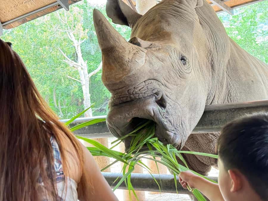 Bangkok: Elephant Sanctuary &Khao Kheow Open Zoo (Moodeng) - What to bring (and wear) for comfort in Chonburi heat