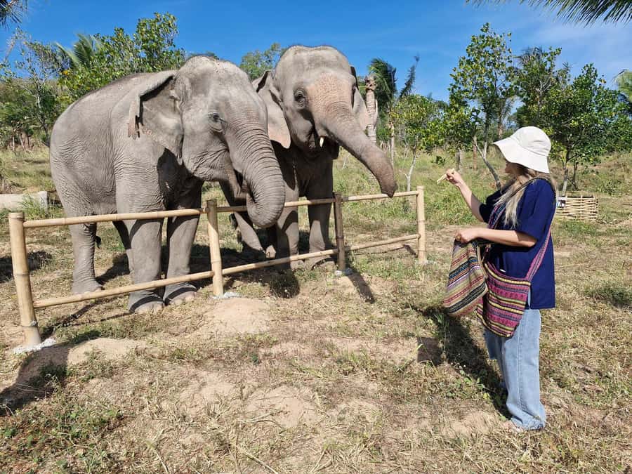 Bangkok: Elephant Sanctuary &Khao Kheow Open Zoo (Moodeng) - Ethical Elephant Sanctuary: the part that feels most meaningful