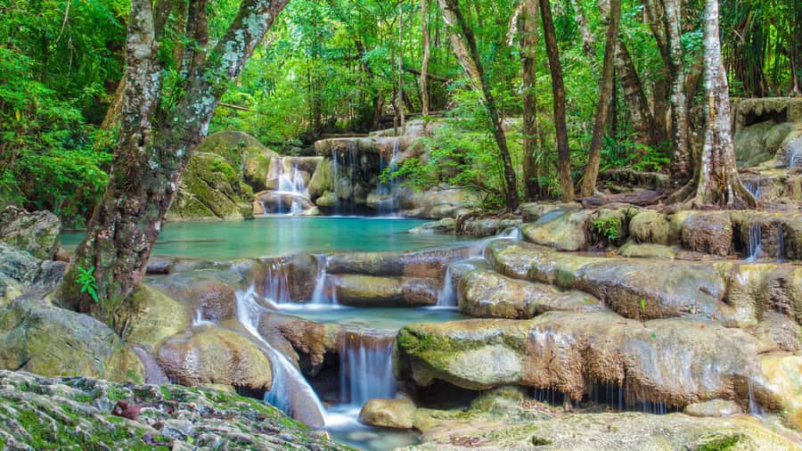 Bangkok: Elephants World & Erawan Waterfall in Kanchanaburi - Key Things I’d Notice First