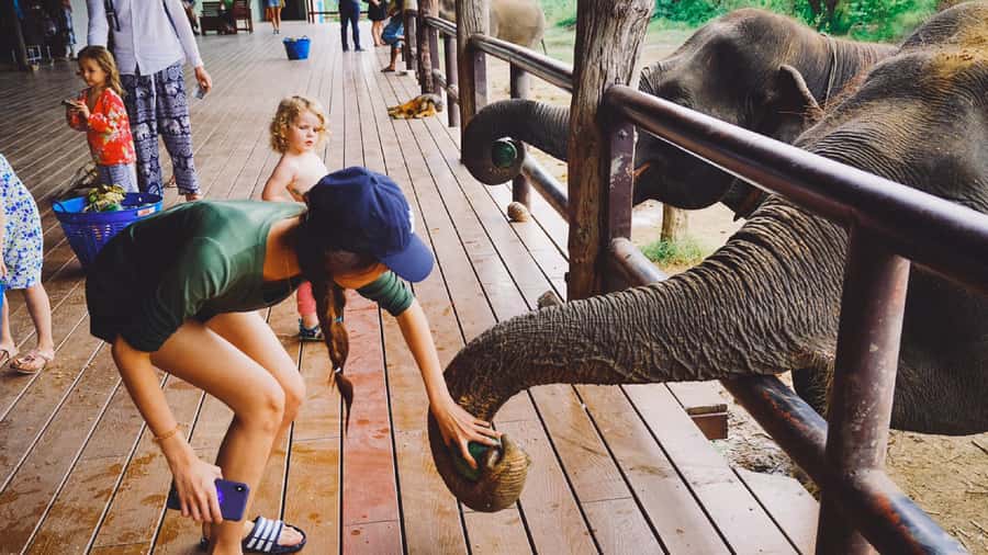 Bangkok: Elephants World & Erawan Waterfall in Kanchanaburi - Lunch at the Sanctuary: Included, Simple, and Actually Helpful