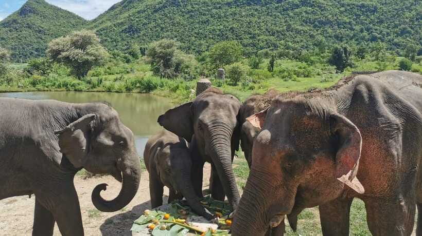 Bangkok: Elephants World & Erawan Waterfall in Kanchanaburi - Erawan Waterfall: 7 Tiers, Turquoise Water, and Swim Rules