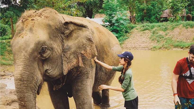 Bangkok: Elephants World & Erawan Waterfall in Kanchanaburi - Price and Value: What $175 Covers—and What Costs Extra