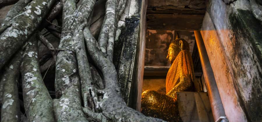 Bangkok: Floating & Maeklong Markets Tour by Private Charter - Wat Chulamanee and the Calm Finish Back to Bangkok