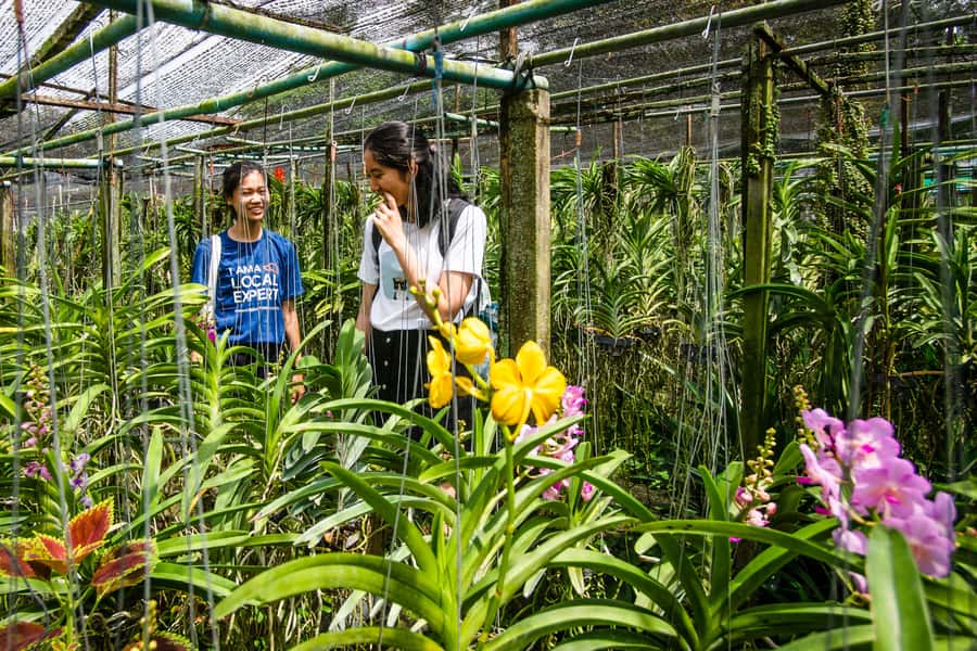 Bangkok Floating Market & Boat Ride to an Orchid Farm - The Long-Tail Boat Ride: Comfort, Views, and How It Feels