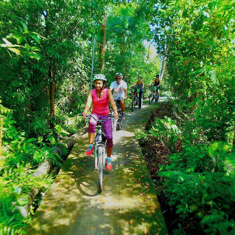 Bangkok green oasis guided bike tour with boat ride - How the park time works: shade, breaks, and fish feeding