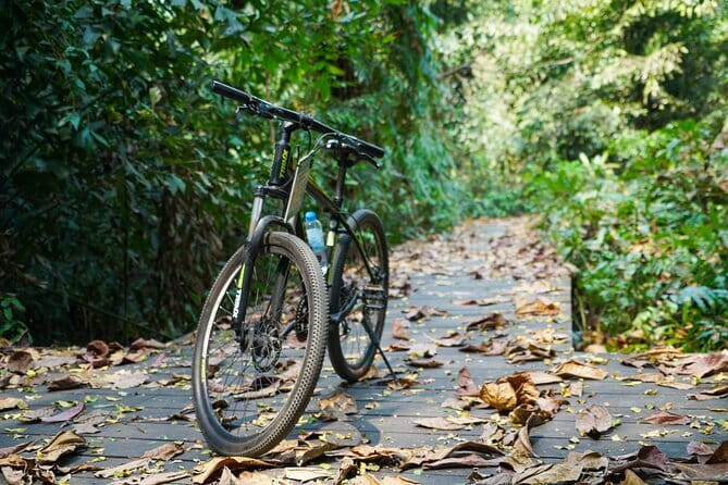 Bangkok Green Oasis Nature Bike Tour - Stop 6: Mango dessert and a smooth finish