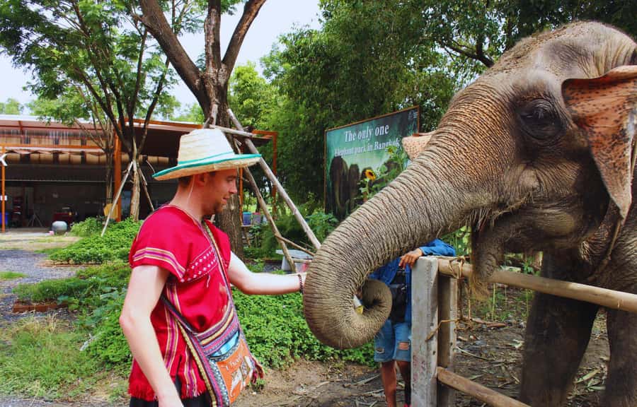 Bangkok Highlights: Ethical Elephant Care and Buffet Lunch - Arriving at the Sanctuary: Team Welcome and Elephant Stories