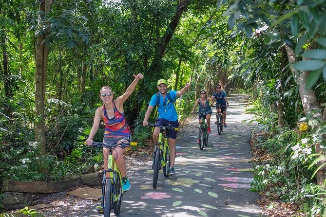 Bangkok Jungle Bike Tour - Hotel-pickup & Lunch - Price and Value: What $81.53 Really Buys