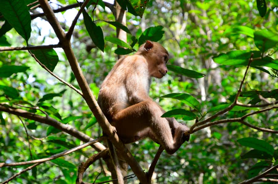Bangkok: Kanchanaburi and Erawan Waterfall Private Tour - Private guide and air-conditioned van: how comfort changes the experience