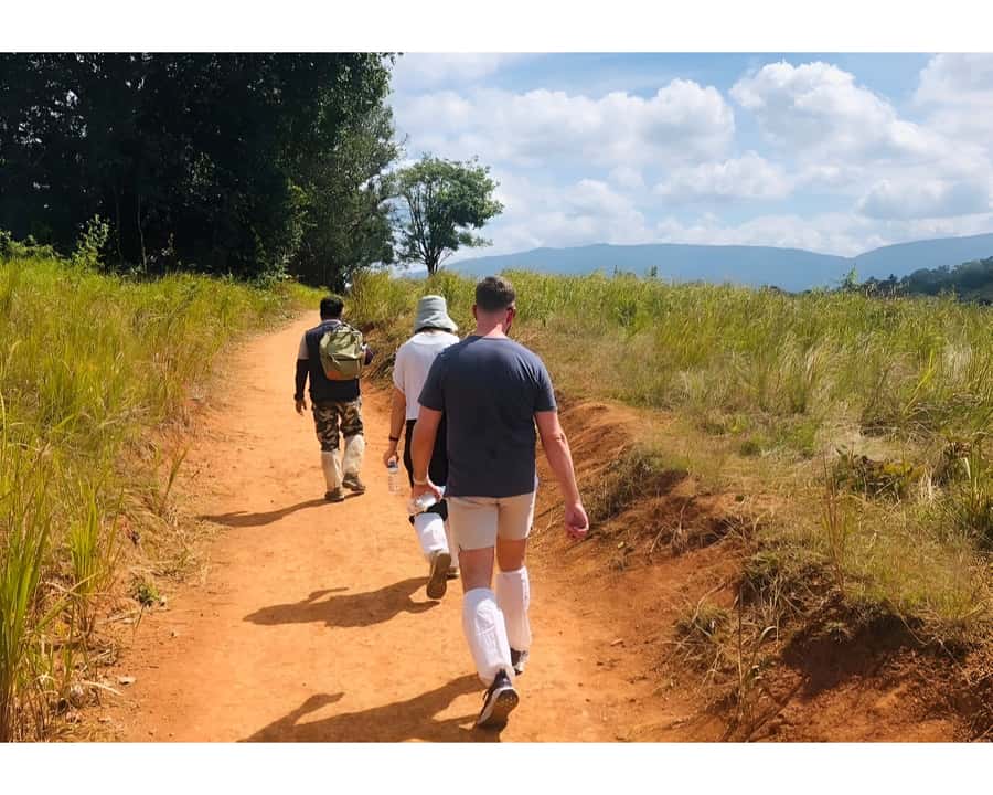 Bangkok: Khao Yai Nature Trails & Heaw Suwat Waterfall - Key Takeaways Before You Go