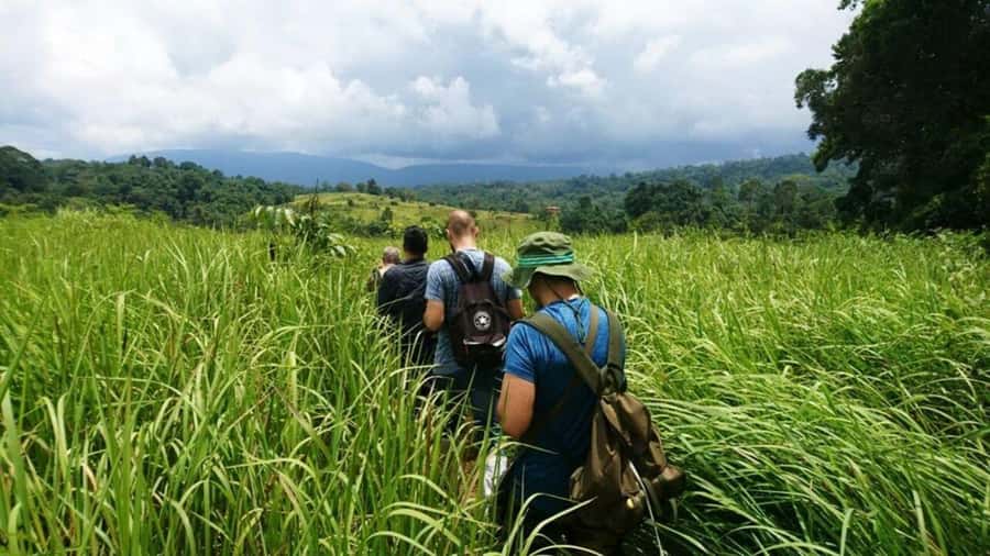Bangkok: Khao Yai Nature Trails & Heaw Suwat Waterfall - KM 30 Viewpoint: The Quick Photo Stop That Sets the Mood