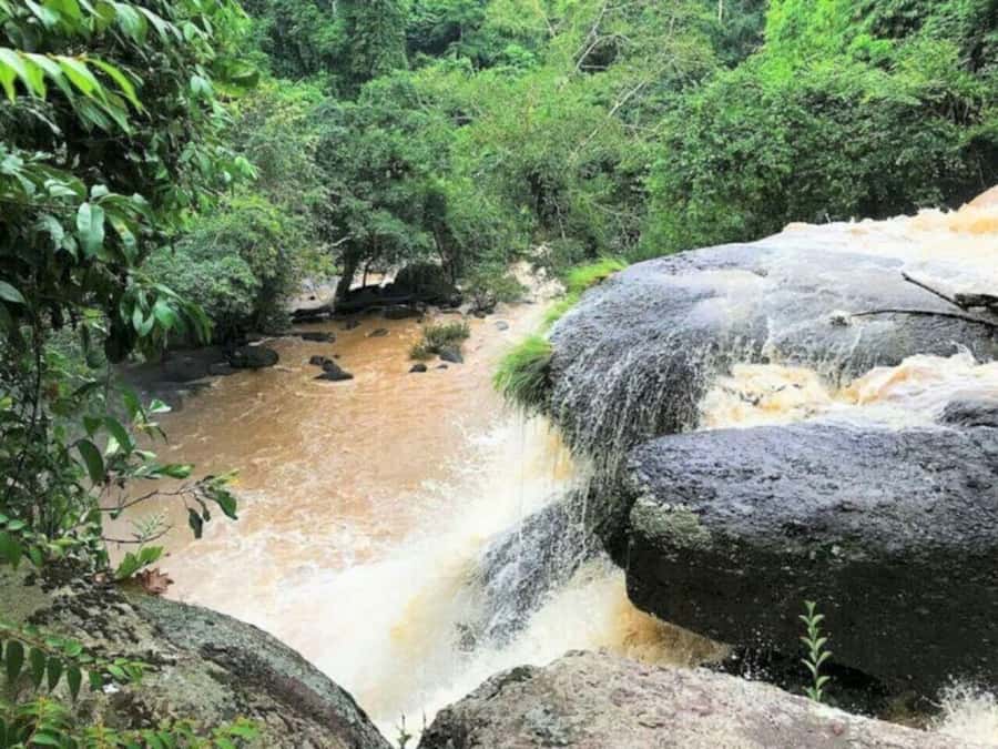 Bangkok: Khao Yai Nature Trails & Heaw Suwat Waterfall - Wanali Restaurant Lunch: A Real Thai Meal After the Trek