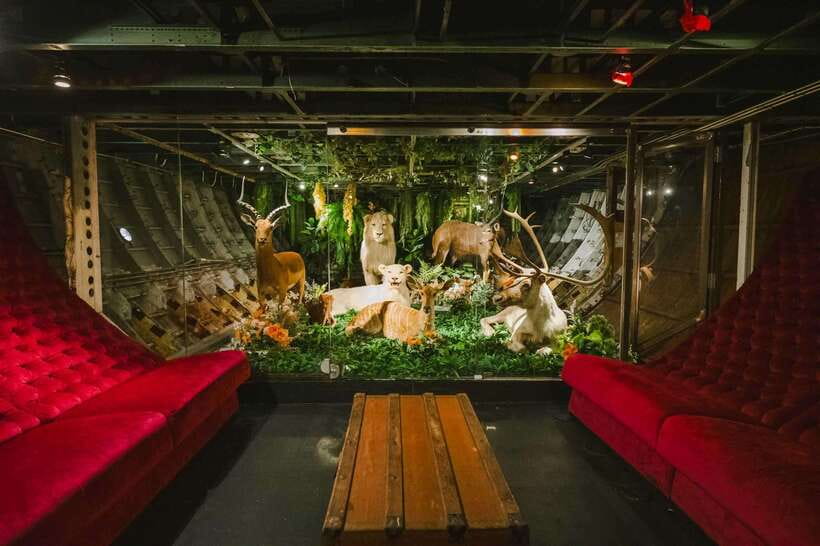 Bangkok: Na-oh Restaurant 5 & 9 Course Set Menu - Rules to know: what you can’t bring or wear