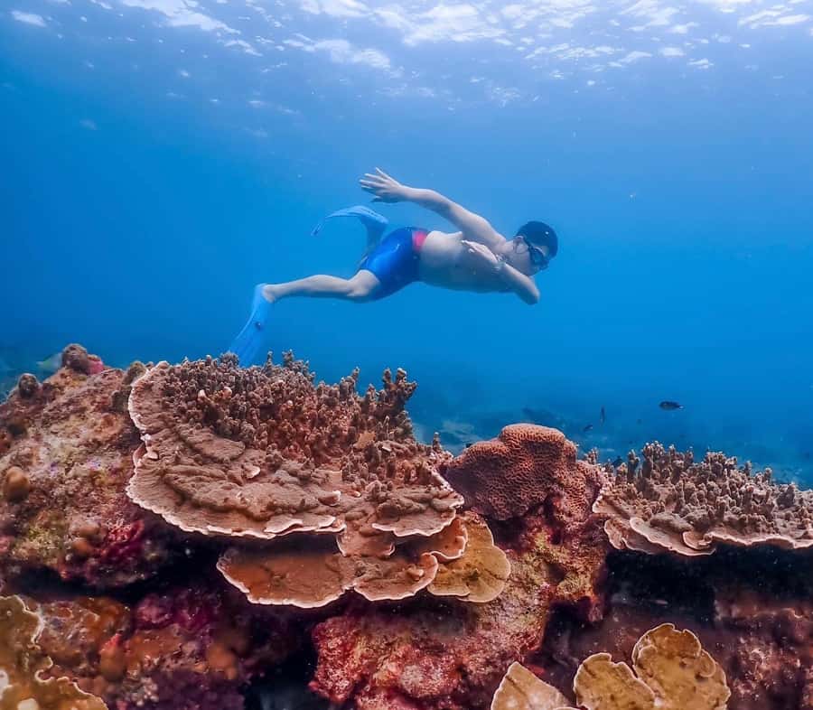 Bangkok: Nemo Island Day Trip with Drone Photos and Lunch - Logistics reality check: weather, timing, and who it’s not for