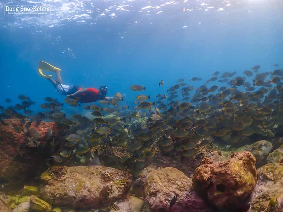 Bangkok: Nemo Island Day Trip with Drone Photos and Lunch - Deeper snorkeling at 6 meters: more fish, more color, and more responsibility
