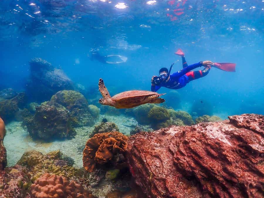 Bangkok: Nemo Island Day Trip with Drone Photos and Lunch - Samae San island time: swimming, suboard fun, and the photo workflow