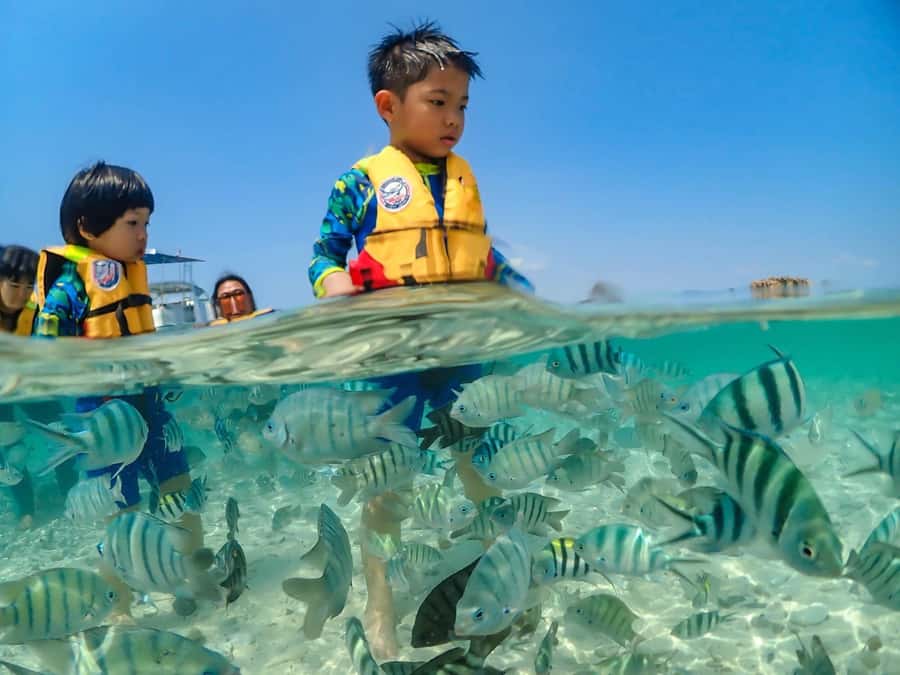 Bangkok: Nemo Island Day Trip with Drone Photos and Lunch - Lunch by the seaside: how it fits the schedule and what to expect