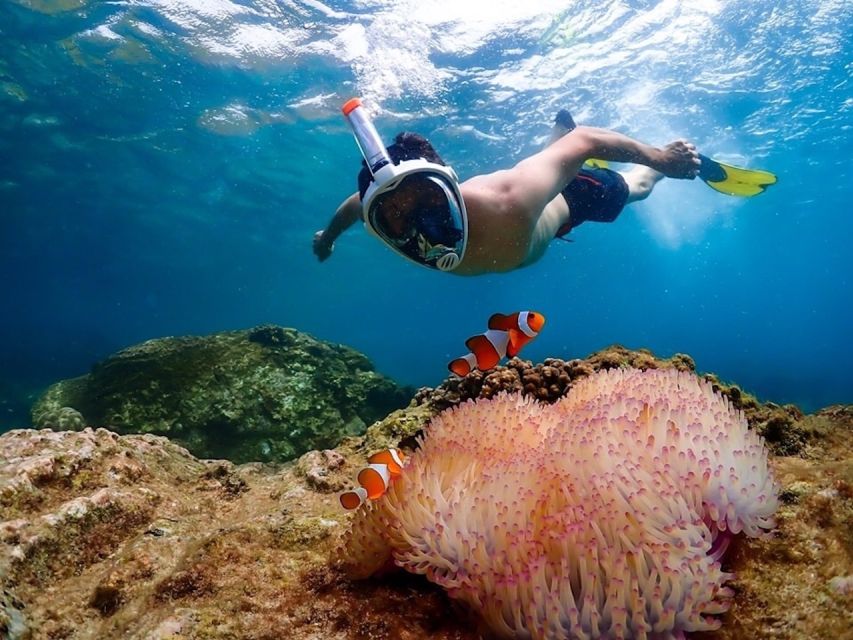 Bangkok: Nemo Island Day Trip with Drone Photos and Lunch - What to pack (and what to skip) for a smoother day