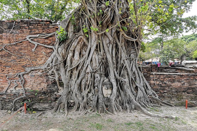 Bangkok: Private Ayutthaya and Bang Pa-In Summer Palace Tour - Lunch at a local Thai restaurant: included, but plan for real hunger
